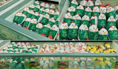 Wadifood (4)